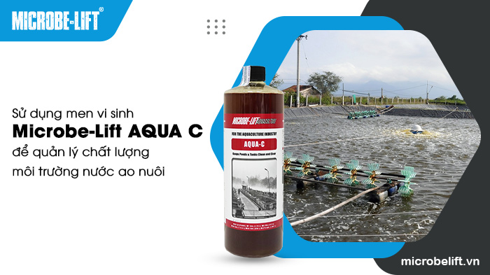 Sử dụng chế phẩm sinh học Microbe-Lift AQUA C để làm sạch môi trường ao. Sử dụng chế phẩm sinh học Microbe-Lift AQUA C để làm sạch môi trường ao.