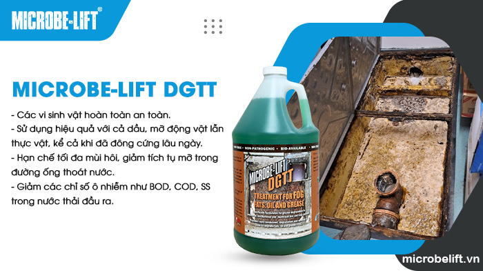 Microbe-Lift DGTT là dòng men vi sinh xử lý bể tách mỡ hiệu quả, giám đáng kể chát thải và giúp kéo dài chu kỳ vệ sinh. Microbe-Lift DGTT là dòng men vi sinh xử lý bể tách mỡ hiệu quả, giám đáng kể chát thải và giúp kéo dài chu kỳ vệ sinh.