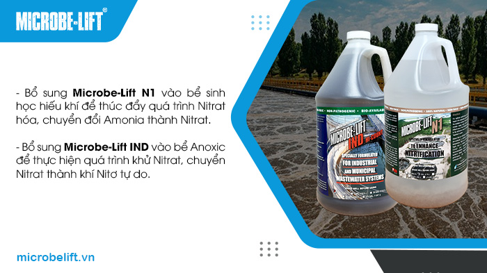 Kết hợp Microbe-Lift N1 và IND giúp xử lý Nitơ Amonia nhanh, đạt chuẩn xả thải ổn định. Kết hợp Microbe-Lift N1 và IND giúp xử lý Nitơ Amonia nhanh, đạt chuẩn xả thải ổn định.