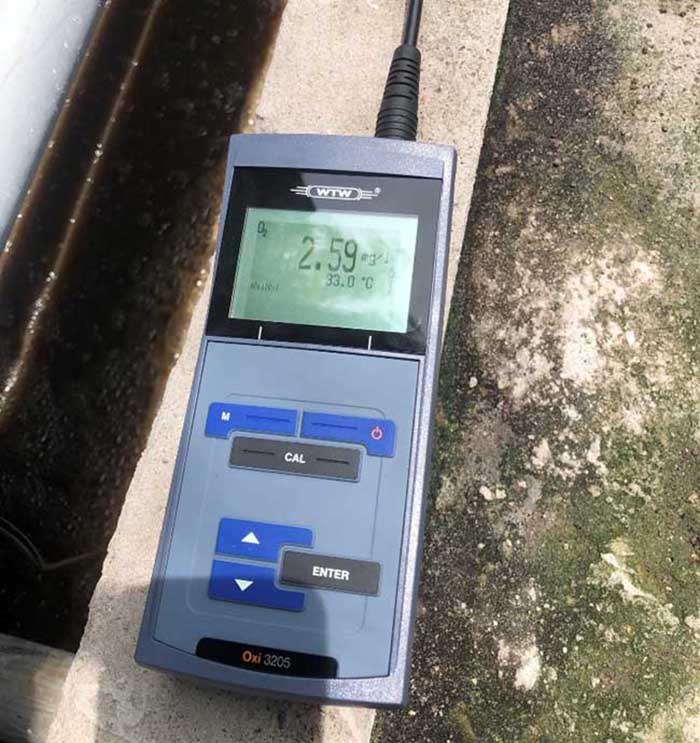 Oxy đóng vai trò quan trọng trong quá trình oxy hóa các chất hữu cơ, ổn định từ 2-4 mg/L. Oxy đóng vai trò quan trọng trong quá trình oxy hóa các chất hữu cơ, ổn định từ 2-4 mg/L.