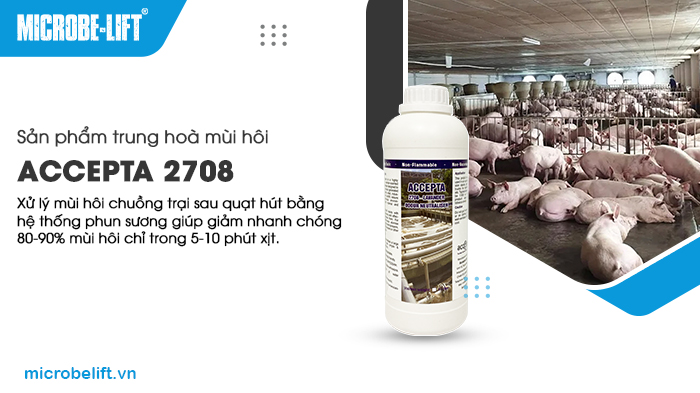 Accepta 2708 chứa thành phần hữu cơ tự nhiên, được sử dụng để xử lý mùi hôi chuồng trại sau quạt hút. Accepta 2708 chứa thành phần hữu cơ tự nhiên, được sử dụng để xử lý mùi hôi chuồng trại sau quạt hút.