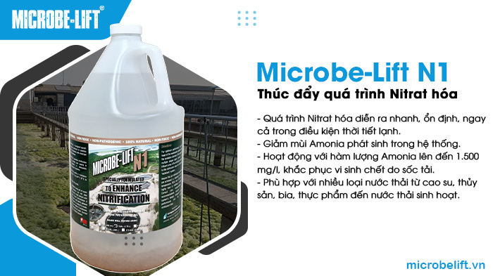 Microbe-Lift N1 chứa vi sinh Nitrosomonas và Nitrobacter giúp xử lý Amonia hiệu quả. Microbe-Lift N1 chứa vi sinh Nitrosomonas và Nitrobacter giúp xử lý Amonia hiệu quả.