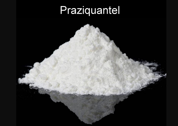 Chọn sản phẩm Praziquantel chất lượng, có giấy phép và nguồn gốc rõ ràng để đạt hiệu quả tối ưu. Chọn sản phẩm Praziquantel chất lượng, có giấy phép và nguồn gốc rõ ràng để đạt hiệu quả tối ưu.