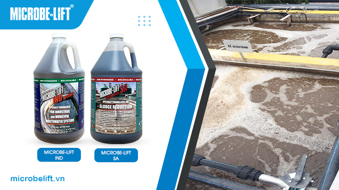 Microbe-Lift IND sẽ giúp phục hồi hệ vi sinh, và có thể bổ sung đồng thời Microbe-Lift SA để giảm bùn, ổn định hệ thống hơn. Microbe-Lift IND sẽ giúp phục hồi hệ vi sinh, và có thể bổ sung đồng thời Microbe-Lift SA để giảm bùn, ổn định hệ thống hơn.