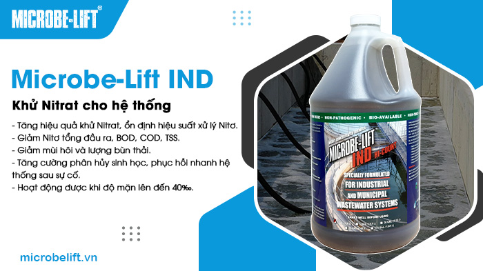 Microbe-Lift IND khử Nitrat hiệu quả, giảm tổng Nitơ và mùi hôi trong nước thải. Microbe-Lift IND khử Nitrat hiệu quả, giảm tổng Nitơ và mùi hôi trong nước thải.