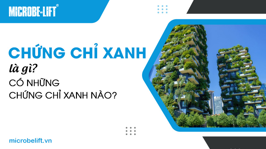 Chứng chỉ xanh là gì? Có những chứng chỉ xanh nào?