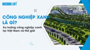Công nghiệp xanh là gì? Xu hướng công nghiệp xanh tại Việt Nam và thế giới