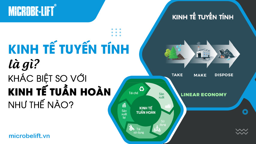Kinh tế tuyến tính là gì? Khác biệt so với kinh tế tuần hoàn như thế nào?