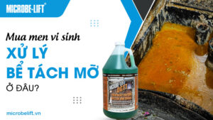 Mua men vi sinh xử lý bể tách mỡ ở đâu?