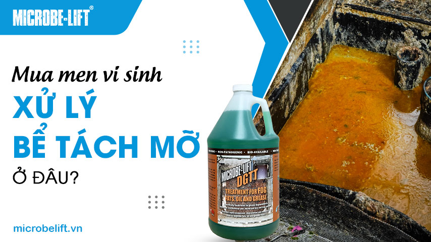 Mua men vi sinh xử lý bể tách mỡ ở đâu? 1 Mua men vi sinh xử lý bể tách mỡ ở đâu?