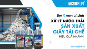 Top 3 men vi sinh xử lý nước thải sản xuất giấy tái chế hiệu quả nhanh