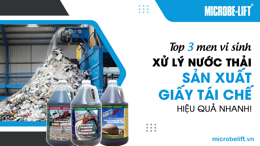 Top 3 men vi sinh xử lý nước thải sản xuất giấy tái chế hiệu quả nhanh