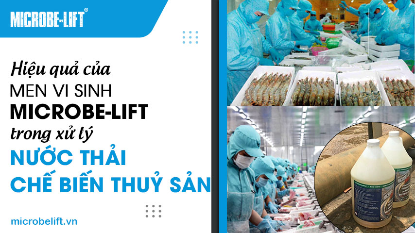 Hiệu quả của men vi sinh Microbe-Lift trong xử lý nước thải chế biến thủy sản 1 Hiệu quả của men vi sinh Microbe-Lift trong xử lý nước thải chế biến thủy sản