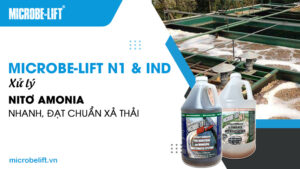 Microbe-Lift N1 & IND: Xử lý Nitơ Amonia nhanh, đạt chuẩn xả thải