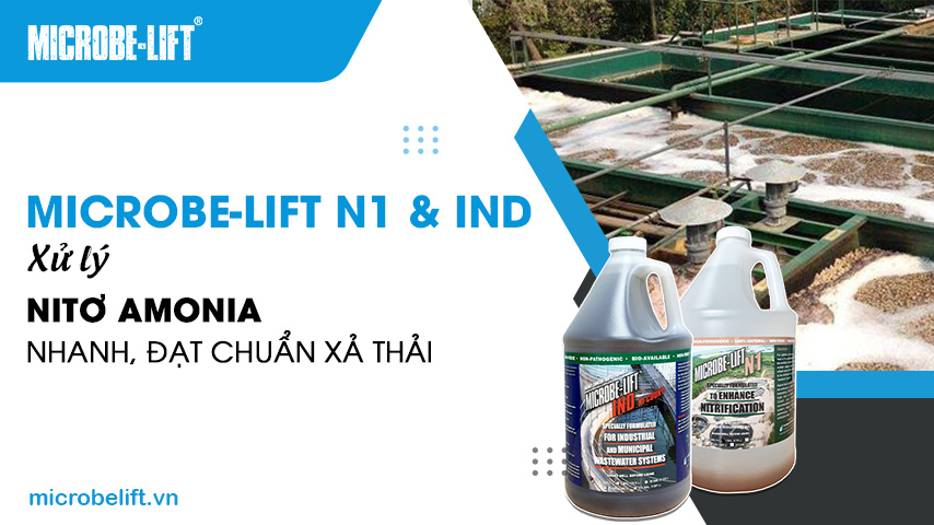 Microbe-Lift N1 & IND: Xử lý Nitơ Amonia nhanh, đạt chuẩn xả thải 1 Microbe-Lift N1 & IND: Xử lý Nitơ Amonia nhanh, đạt chuẩn xả thải