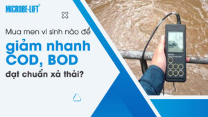 Mua men vi sinh nào để giảm nhanh COD, BOD đạt chuẩn xả thải?