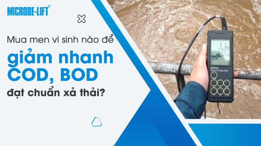 Mua men vi sinh nào để giảm nhanh COD, BOD đạt chuẩn xả thải?