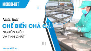 Nước thải chế biến chả cá: Nguồn gốc và tính chất