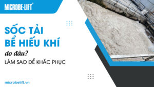 Sốc tải bể hiếu khí do đâu? Làm sao để khắc phục