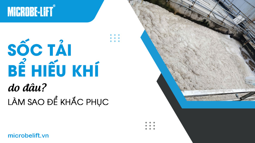 Sốc tải bể hiếu khí do đâu? Làm sao để khắc phục 1 Sốc tải bể hiếu khí do đâu? Làm sao để khắc phục