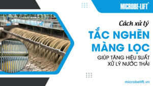 Cách xử lý tắc nghẽn màng lọc giúp tăng hiệu suất xử lý nước thải