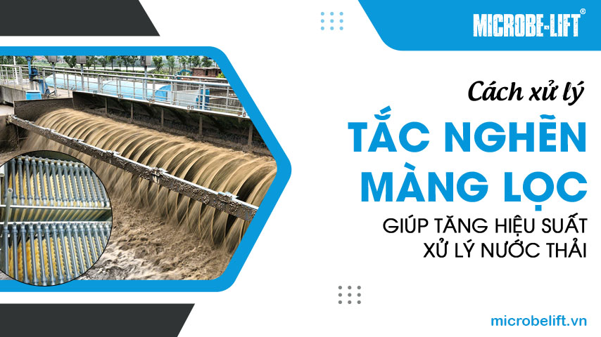 Cách xử lý tắc nghẽn màng lọc giúp tăng hiệu suất xử lý nước thải 1 Cách xử lý tắc nghẽn màng lọc giúp tăng hiệu suất xử lý nước thải