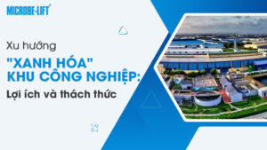 Xu hướng "xanh hóa" khu công nghiệp: Lợi ích và thách thức