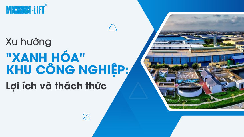 Xu hướng "xanh hóa" khu công nghiệp: Lợi ích và thách thức 1 Xu hướng "xanh hóa" khu công nghiệp: Lợi ích và thách thức