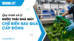 Quy trình xử lý nước thải nhà máy chế biến rau quả cấp đông