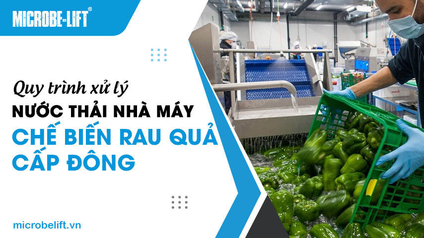 Quy trình xử lý nước thải nhà máy chế biến rau quả cấp đông