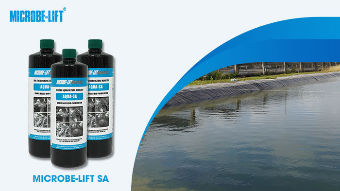 Microbe-Lift AQUA SA giúp kiểm soát và giảm thiểu các loại khí độc. Microbe-Lift AQUA SA giúp kiểm soát và giảm thiểu các loại khí độc.