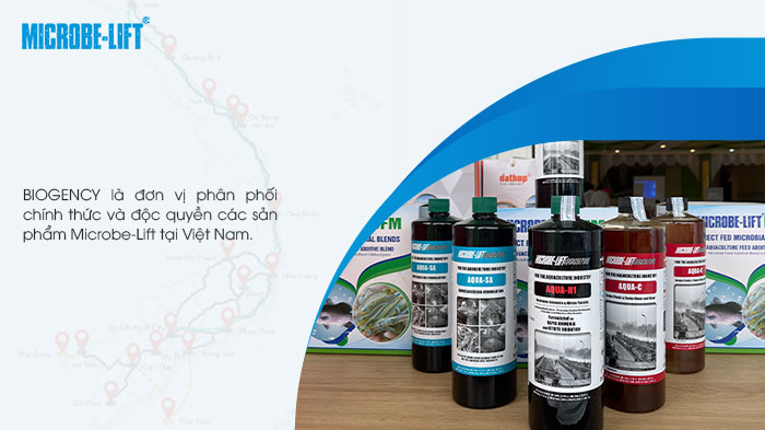 Thương hiệu có mạng lưới phân phối rộng khắp cả nước. Thương hiệu có mạng lưới phân phối rộng khắp cả nước.