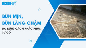 Bùn mịn, bùn lắng chậm do đâu? Cách khắc phục sự cố