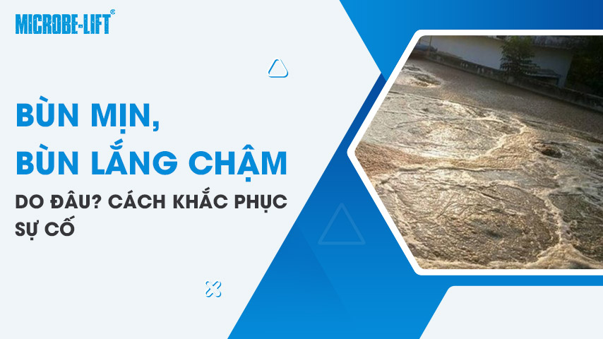 Bùn mịn, bùn lắng chậm do đâu? Cách khắc phục sự cố