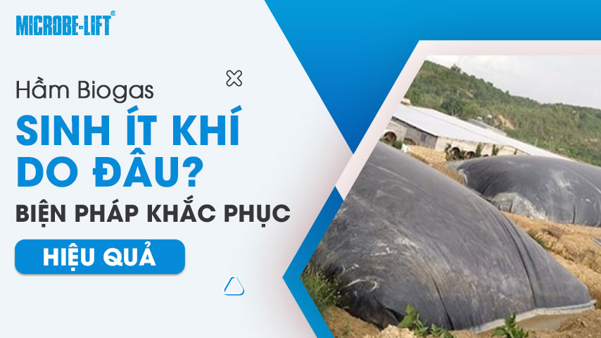Hầm Biogas sinh ít khí do đâu? Biện pháp khắc phục hiệu quả