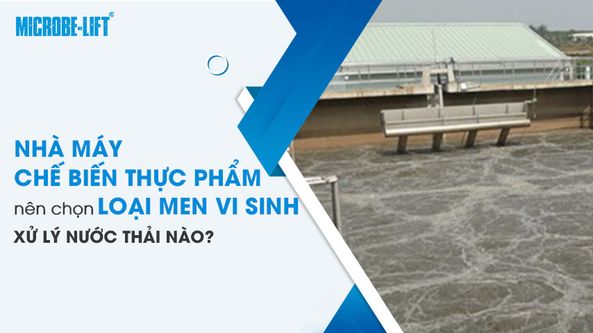 Nhà máy chế biến thực phẩm nên chọn loại men vi sinh xử lý nước thải nào?