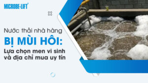 Nước thải nhà hàng bị mùi hôi: Lựa chọn men vi sinh và địa chỉ mua uy tín