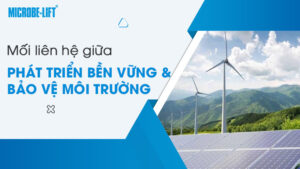 Mối liên hệ giữa phát triển bền vững và bảo vệ môi trường