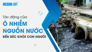 Tác động của ô nhiễm nguồn nước đến sức khỏe con người