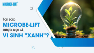 Tại sao Microbe-Lift được gọi là vi sinh "xanh"?
