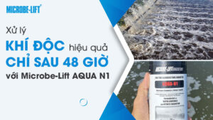 Xử lý khí độc hiệu quả chỉ sau 48 giờ với Microbe-Lift AQUA N1