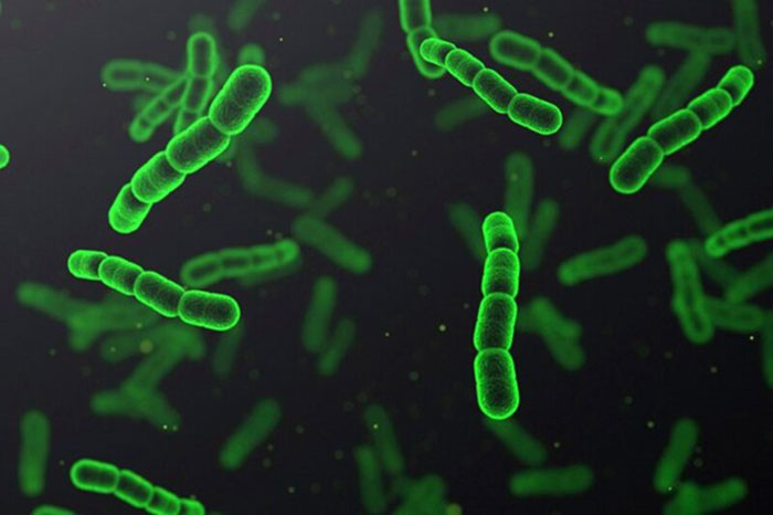 Men vi sinh xử lý dầu mỡ chứa vi sinh vật tự nhiên, an toàn và thân thiện với môi trường. Men vi sinh xử lý dầu mỡ chứa vi sinh vật tự nhiên, an toàn và thân thiện với môi trường.