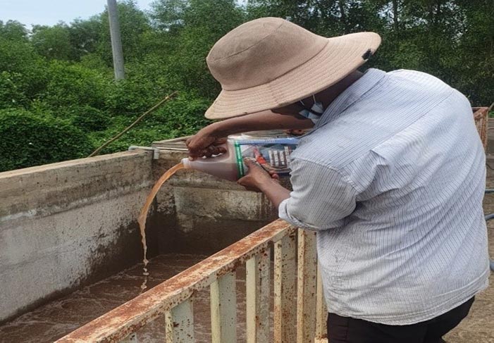 Men vi sinh Microbe-Lift chứa các chủng vi sinh vật chuyên biệt. Men vi sinh Microbe-Lift chứa các chủng vi sinh vật chuyên biệt.