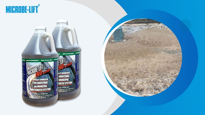 Men vi sinh Microbelift giúp tăng hàm lượng bùn hoạt tính trong các bể sinh học. Men vi sinh Microbelift giúp tăng hàm lượng bùn hoạt tính trong các bể sinh học.