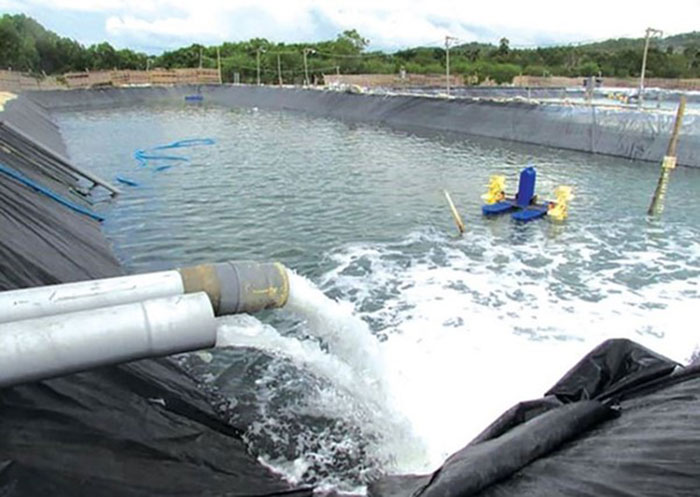 Chú trọng xử lý dịch bệnh trong nuôi tôm. Chú trọng xử lý dịch bệnh trong nuôi tôm.