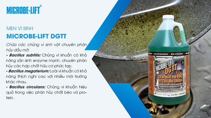 Microbe-Lift DGTT chứa các chủng vi sinh vật chuyên phân hủy dầu mỡ. Microbe-Lift DGTT chứa các chủng vi sinh vật chuyên phân hủy dầu mỡ.