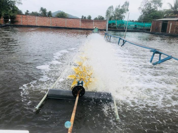 Cải tạo ao, kiểm soát môi trường và hỗ trợ tiêu hóa giúp ngừa nấm. Cải tạo ao, kiểm soát môi trường và hỗ trợ tiêu hóa giúp ngừa nấm.