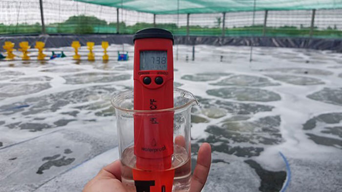 pH quá cao hay quá thấp đều làm tôm sốc. pH quá cao hay quá thấp đều làm tôm sốc.