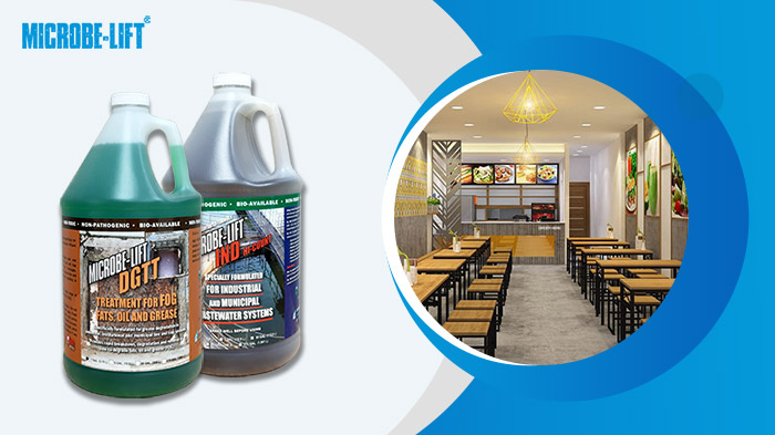 Men vi sinh mang đến hiệu quả bền vững cho doanh nghiệp. Men vi sinh mang đến hiệu quả bền vững cho doanh nghiệp.