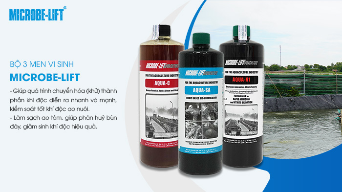 Bộ 3 men vi sinh đồng hành cùng bà con suốt mùa vụ. Bộ 3 men vi sinh đồng hành cùng bà con suốt mùa vụ.